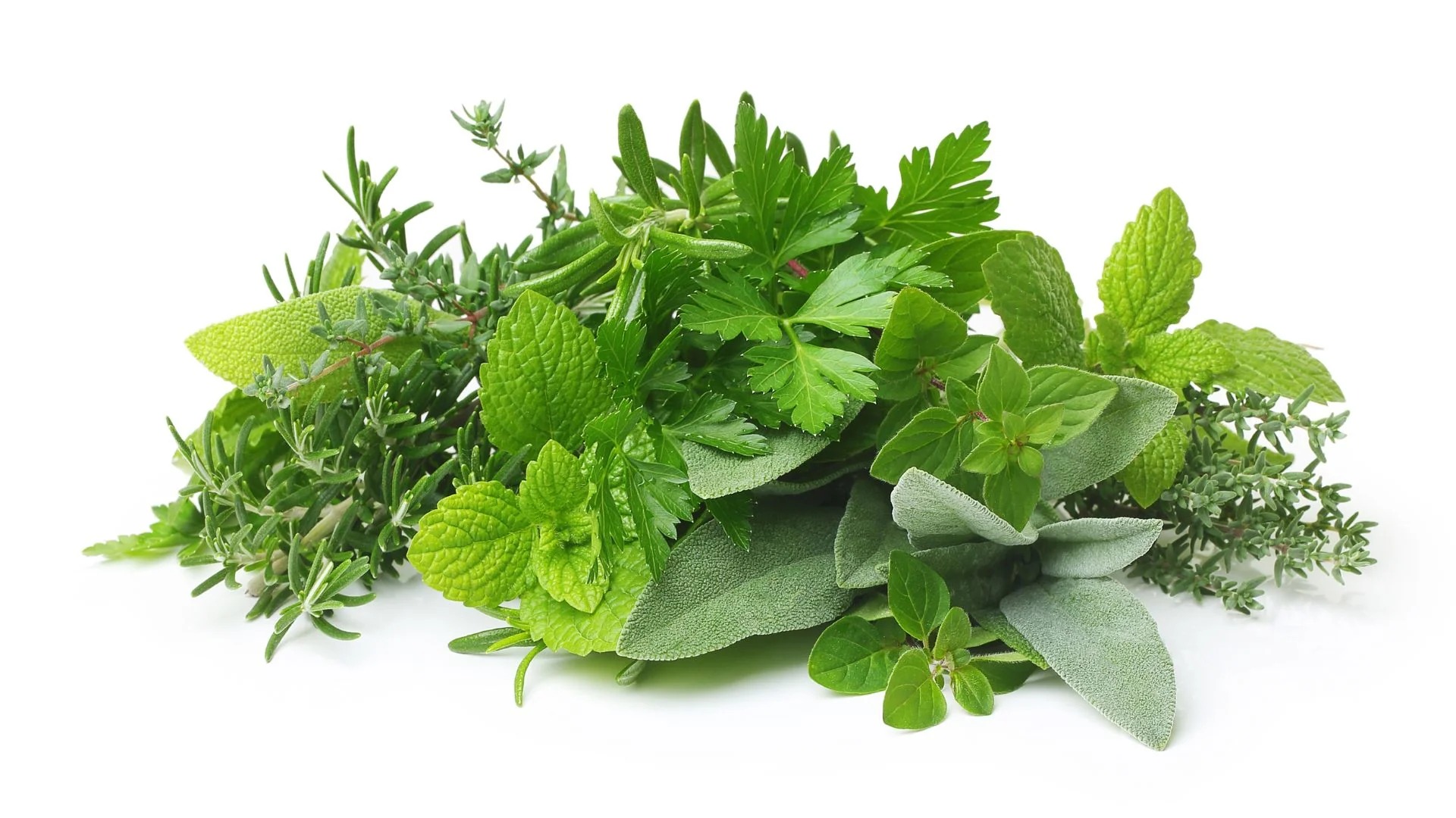 Herbs