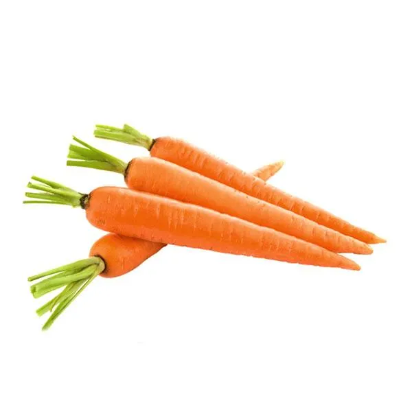 Carrot