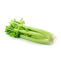 Celery