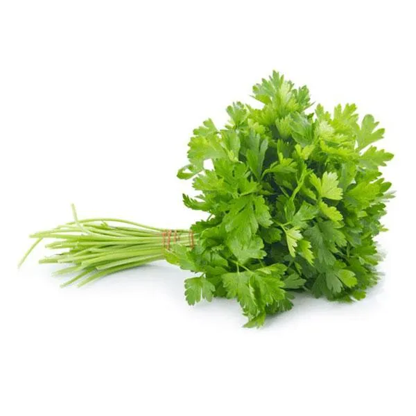Coriander Leaves