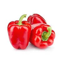 Red Bell Pepper