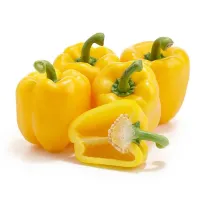 Yellow Bell Pepper