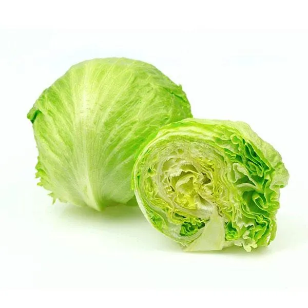 Iceberg Lettuce