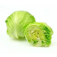 Iceberg Lettuce
