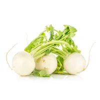 Radish