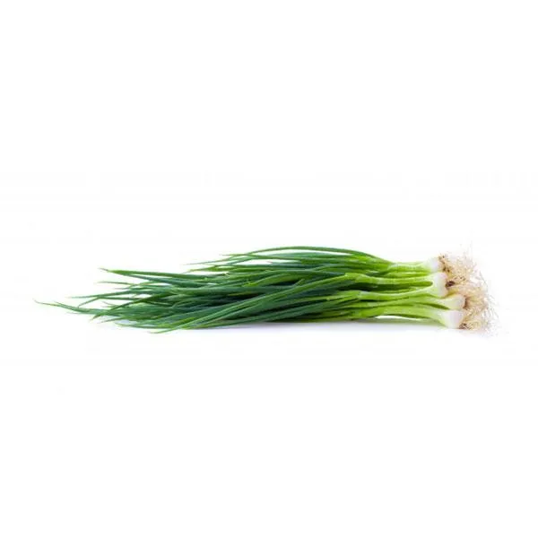 Spring Onion