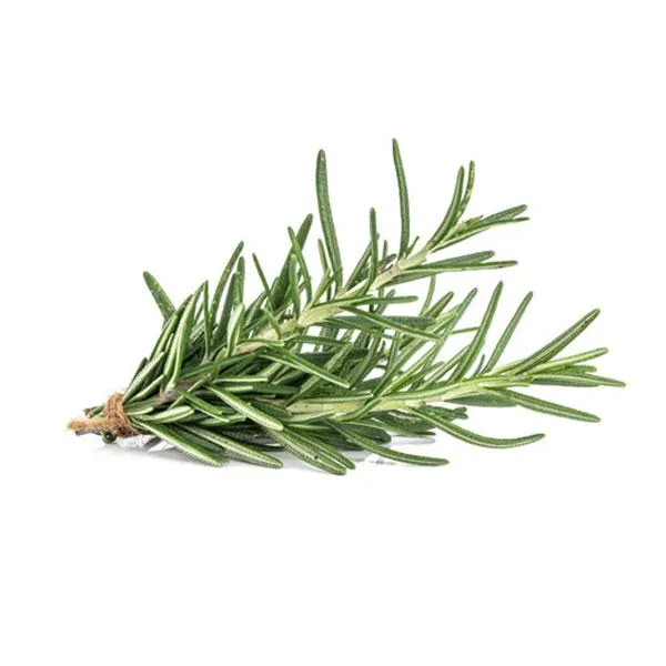 Rosemary
