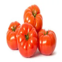 Beef Tomato