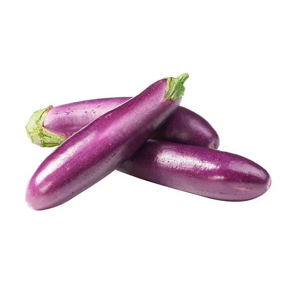Brinjal