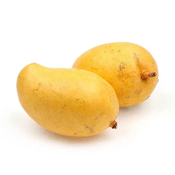 Mango TJC