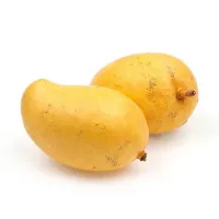 Mango TJC
