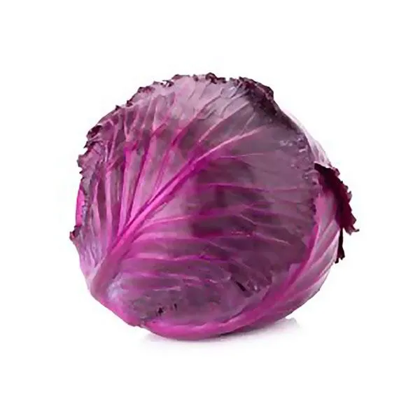 Red Cabbage