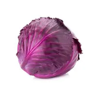 Red Cabbage