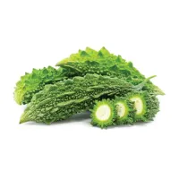 Bitter Gourd