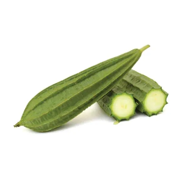 Ridge Gourd