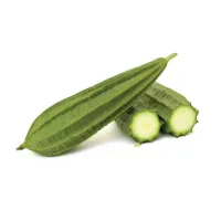 Ridge Gourd