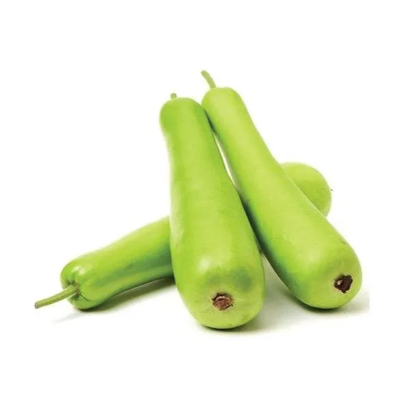 Bottle Gourd