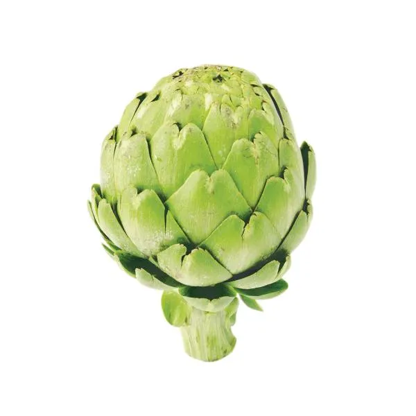 Artichoke