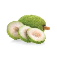 Breadfruit