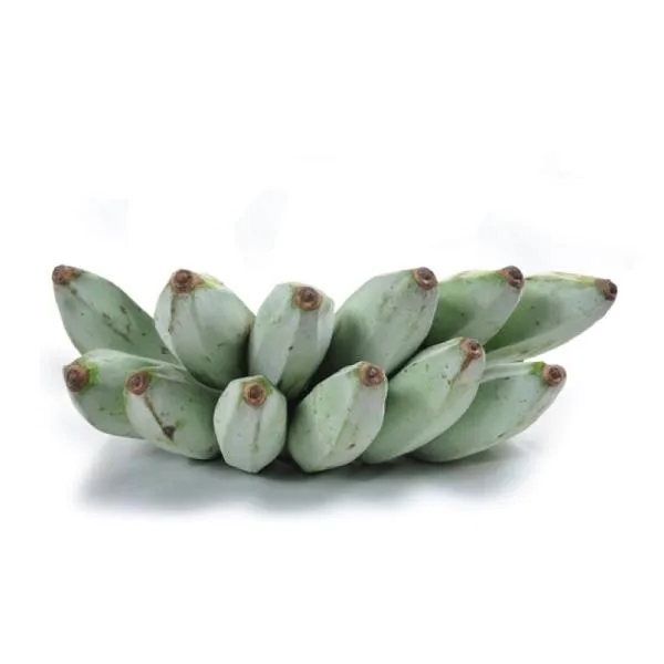 Ash Plantain