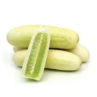 Cucumber