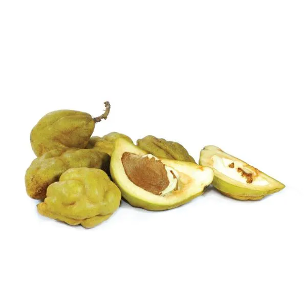Naminam