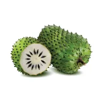 Soursop - Export Quality