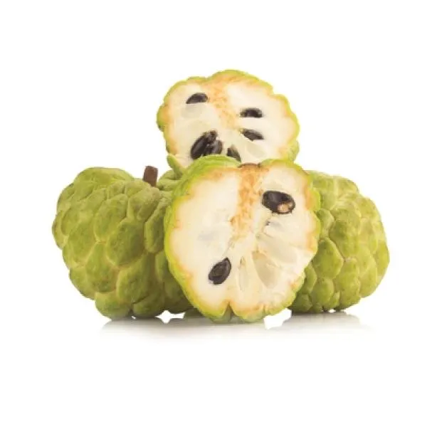 Sweetsop