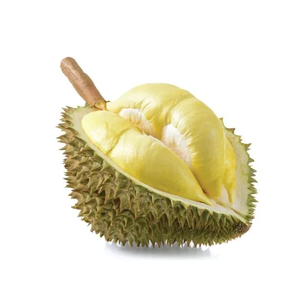 Duriyan