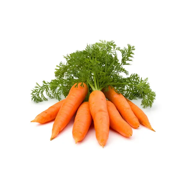 Carrot