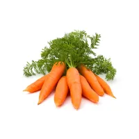 Carrot