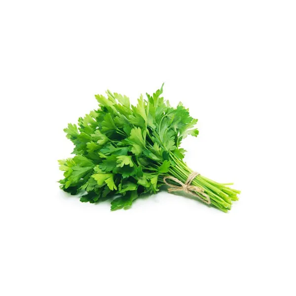 Coriander leaves