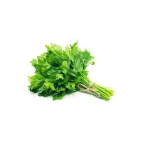 Coriander leaves
