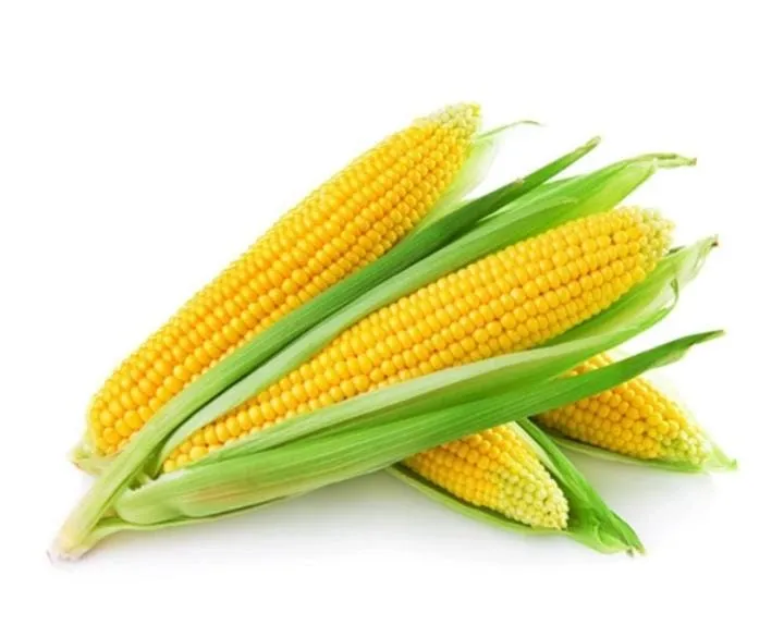 Corn