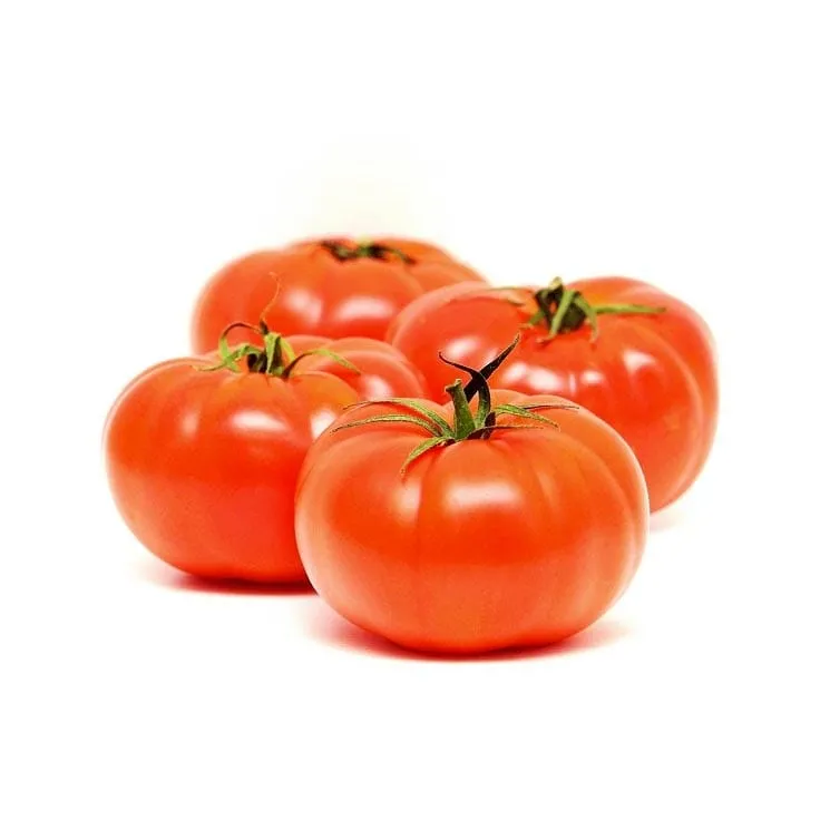 Greenhouse tomato