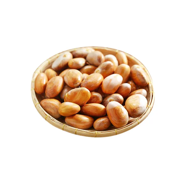 Jackfruit seeds