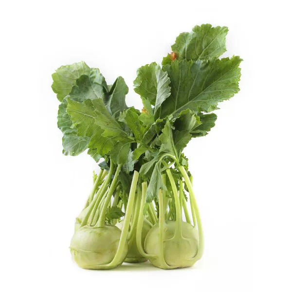 Knol khol