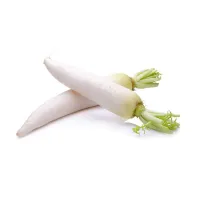 Korean long radish