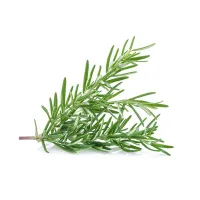 Fresh Rosemary
