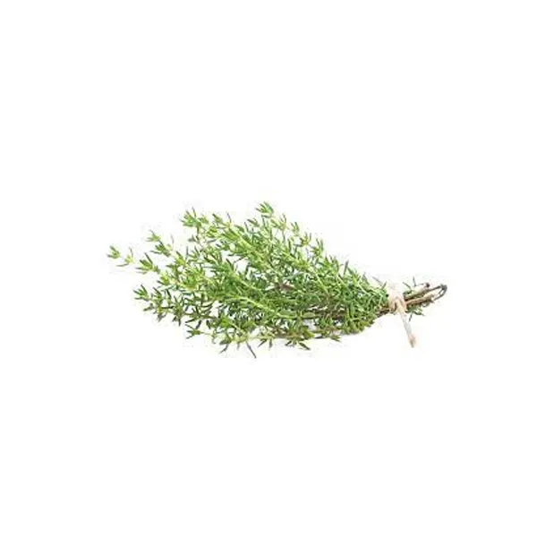 Fresh Thyme 