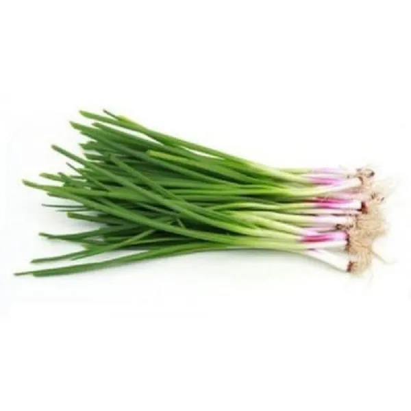 Spring Onion