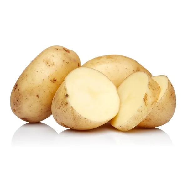Potato