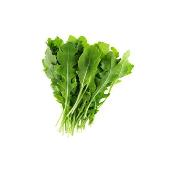 Rocket Lettuce