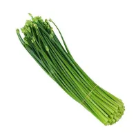 Onion Leaves