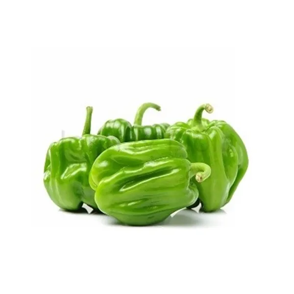 Scotch bonnet