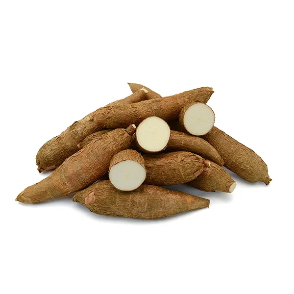 Manioc