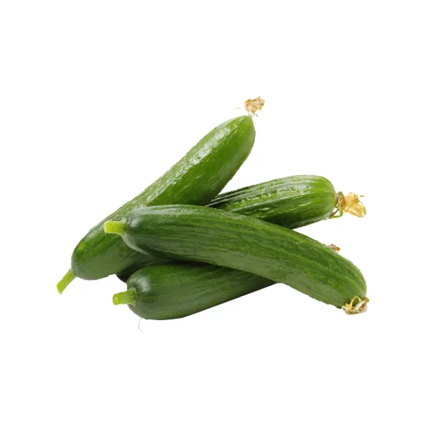 Salad Cucumber