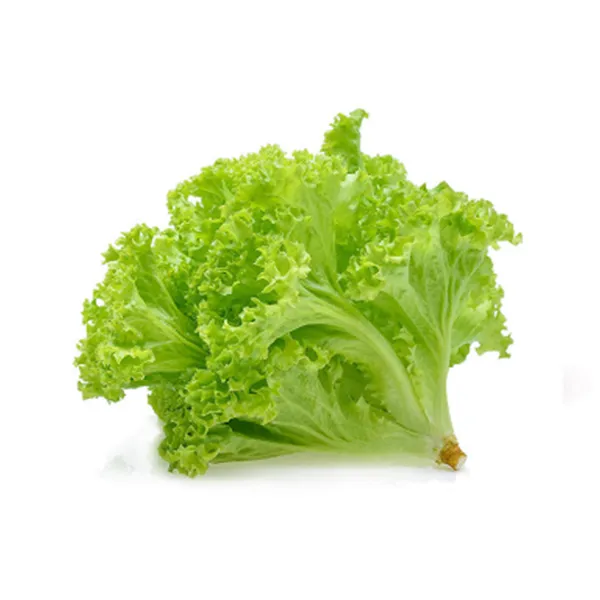 Salad Leaves