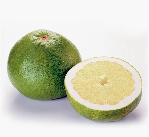 Grapefruit / Jambola