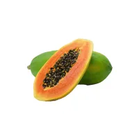 Papaya - Tanin